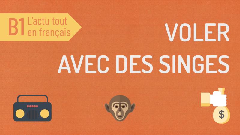 Voler à l'aide des singes