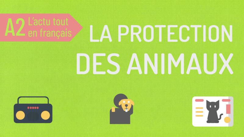 La loi de protection animale