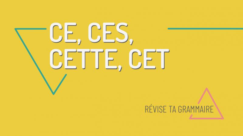 Ce cette ces : les adjectifs démonstratifs