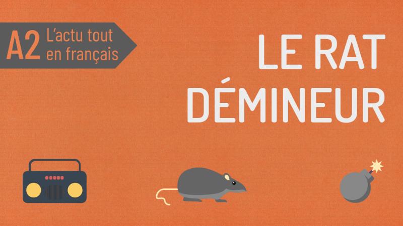 Le rat démineur
