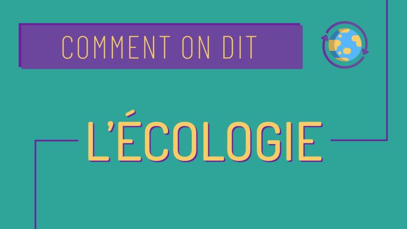 Comment on dit : l'écologie