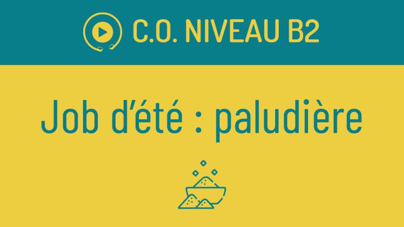 Job d'été : paludière