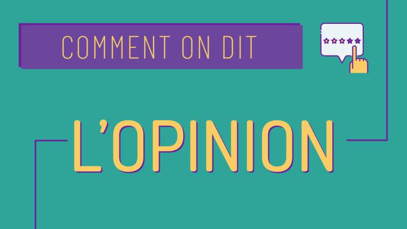 Comment on donne son opinion en français