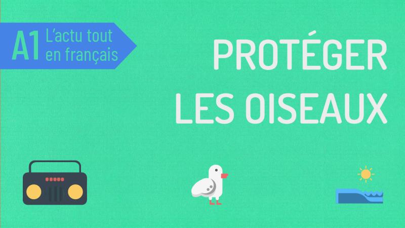 Fermer des plages pour un oiseau