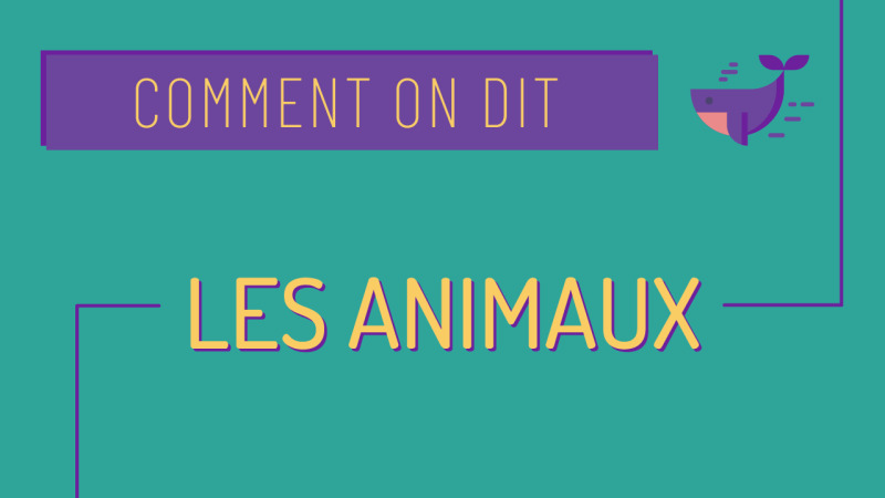 Comment on dit : les animaux