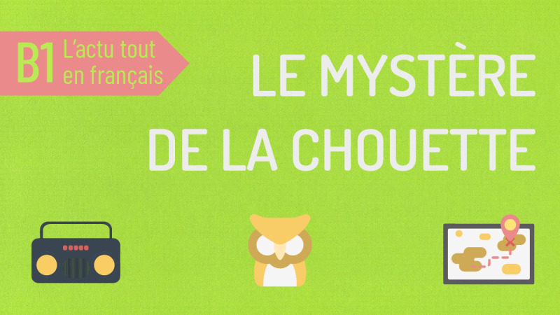 Le mystère de la chouette d'or