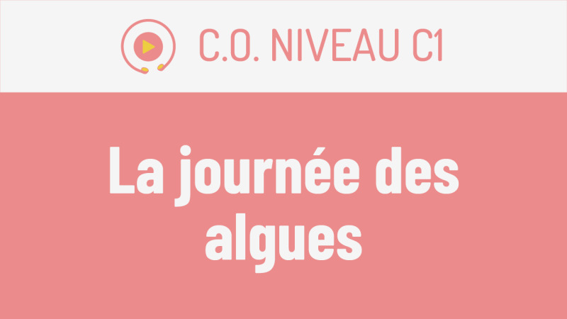 C.O. C1 : la journée des algues