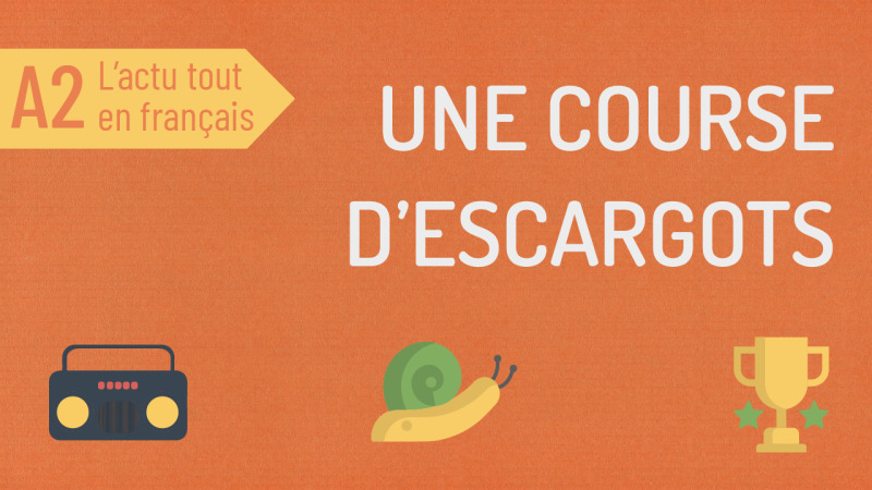 Une course d'escargots