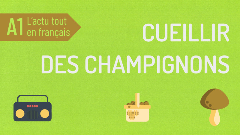 Cueillir des champignons